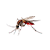 mosquito Icon