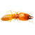 termite Icon