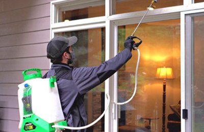 Eco-friendly Pest Control Services