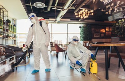 Hotel Pest Control Services in Mumbai