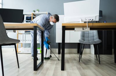 Office Pest Control Services in Mumbai