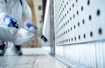 Organic Pest Control Services