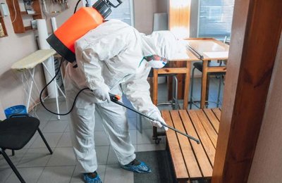 Restaurant Pest Control Services in Mumbai